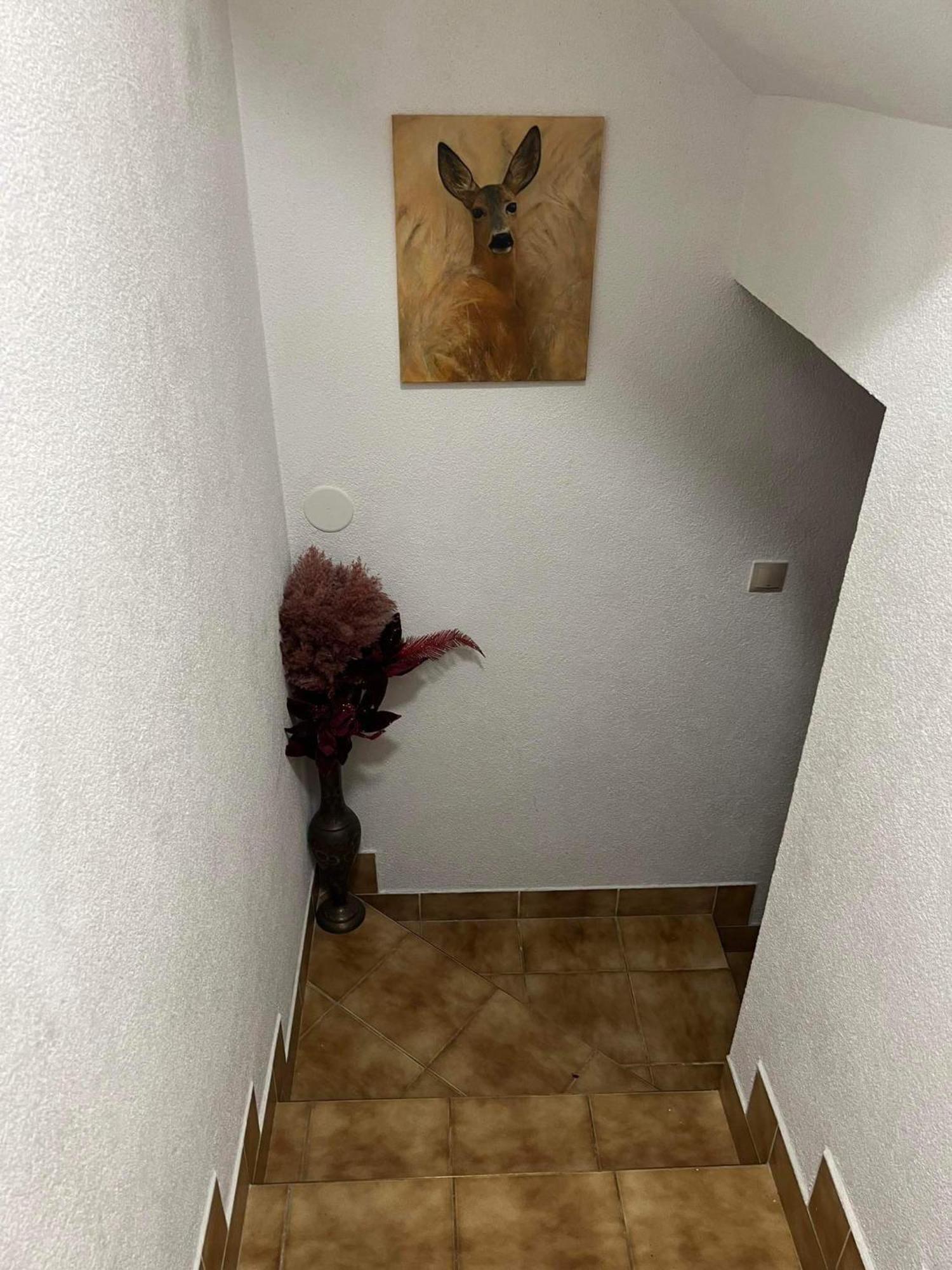 Privat Forest Liptovský Mikuláš Exterior foto