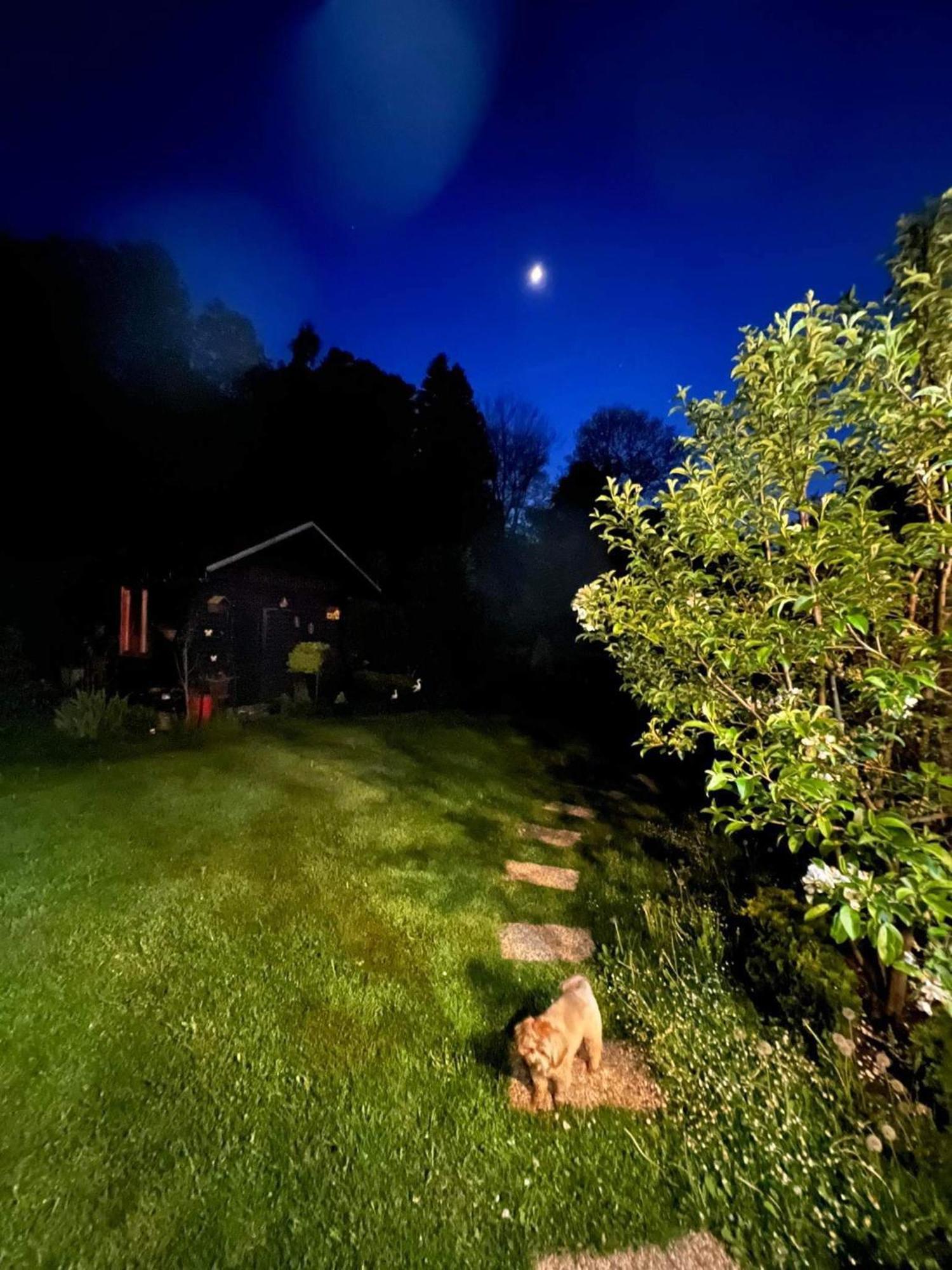 Privat Forest Liptovský Mikuláš Exterior foto
