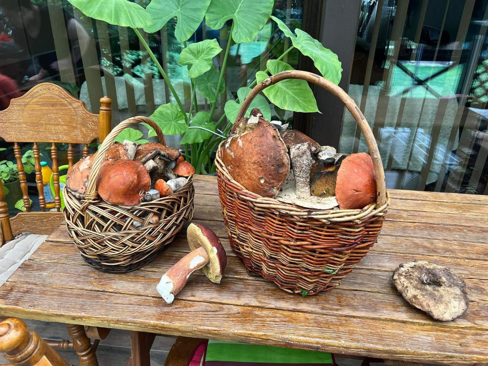 Privat Forest Liptovský Mikuláš Exterior foto