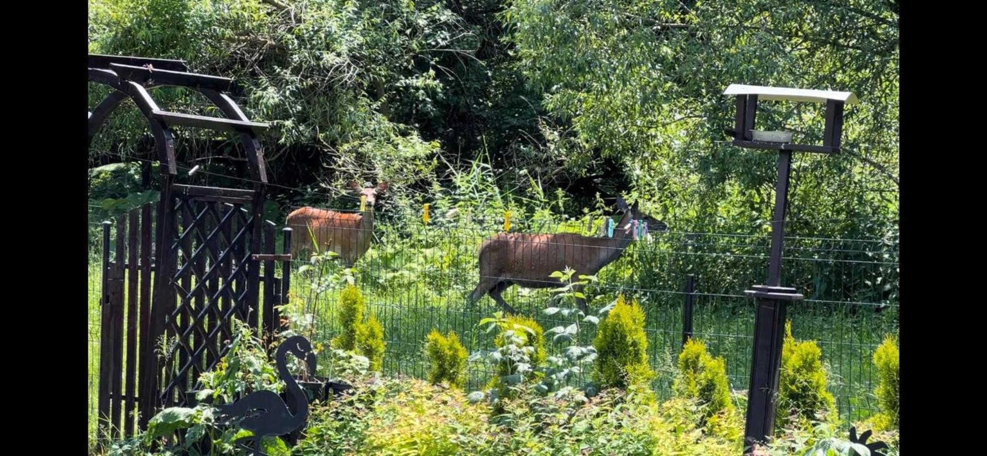 Privat Forest Liptovský Mikuláš Exterior foto